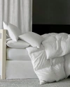 Sferra 800-fill European Down Firm Standard Pillow In White