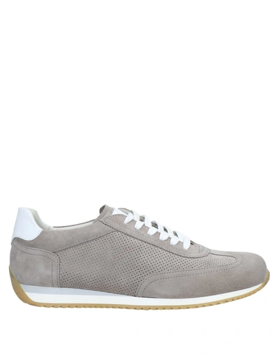 Albusceri Sneakers In Grey