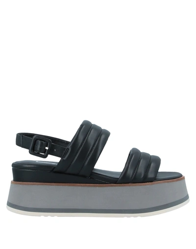 Jeannot Sandals In Black