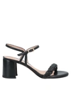 Francesco Sacco Sandals In Black