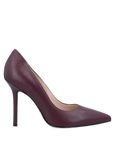 Liu •jo Pumps In Deep Purple