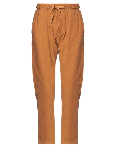 Adaptation Pants In Brown