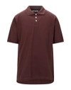 Hardy Crobb's Polo Shirts In Brown