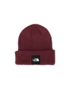 The North Face Hats In Deep Purple