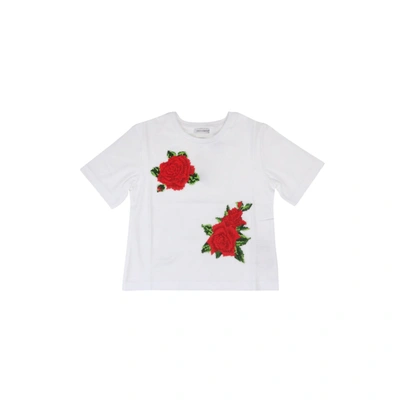 Dolce & Gabbana Babies' Cotton T-shirt In White
