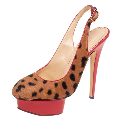 Pre-owned Charlotte Olympia Red/brown Leopard Calfhair And Leather Dolly Slingback Pumps Size 37.5