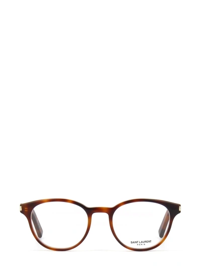 Saint Laurent Classic 10 Havana Glasses