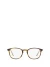 OLIVER PEOPLES OV5397U SEMI MATTE MOSS TORTOISE GLASSES