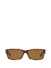 Persol Polarized Rectangular Sunglasses In Havana