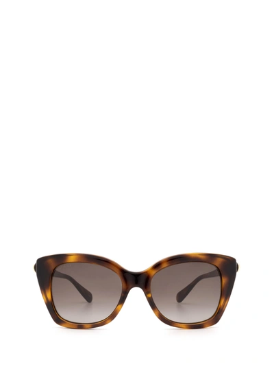 Gucci Eyewear Butterfly Frame Sunglasses In Havana