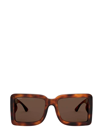Burberry Eyewear Oversized Square Sunglasses In Light Havana