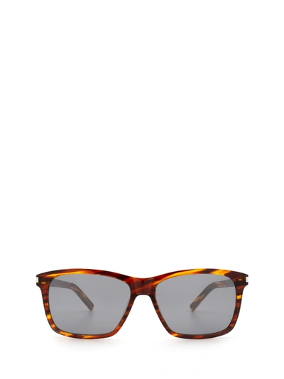 Saint Laurent Sl 339 Havana Sunglasses