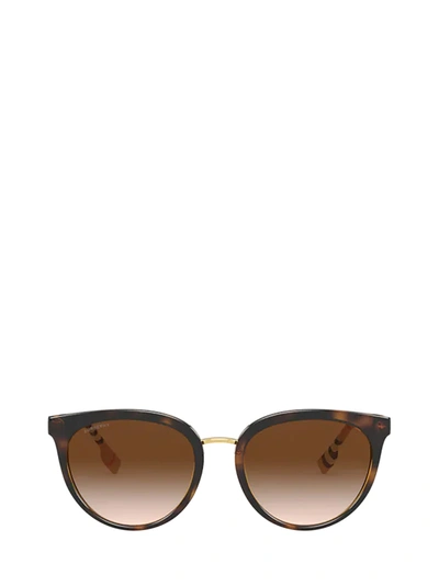 Burberry Eyewear Burberry Be4316 Dark Havana Sunglasses