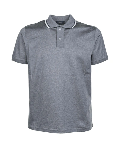 Herno Grey Polo Shirt In Grigio Chiaro