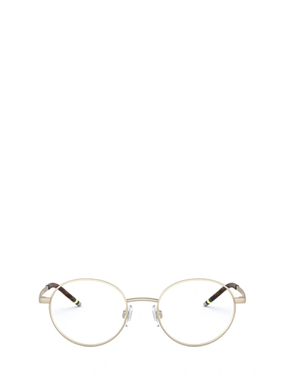 Polo Ralph Lauren Ph1193 Matte Pale Gold Glasses