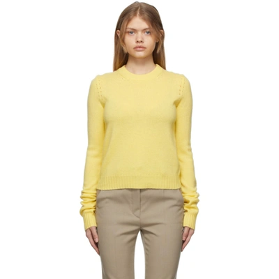 Sportmax Agitare Wool And Cashmere Sweater In Limone