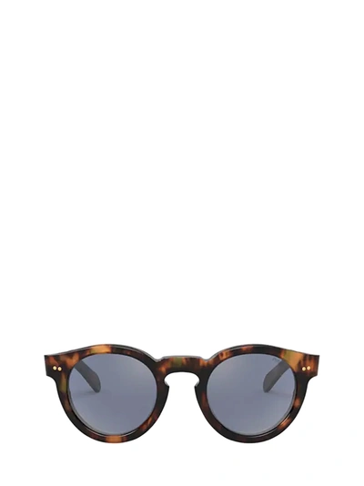 Polo Ralph Lauren Ph4165 Shiny Jerry Havana Unisex Sunglasses In Braun