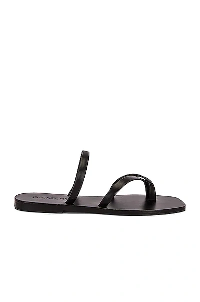 A.emery Colby' Crisscross Toe Strap Leather Flat Sandals In Black
