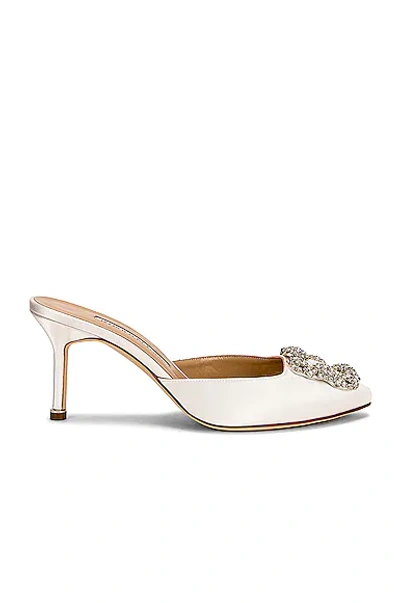 Manolo Blahnik Hangisimu 70 Mule In White Swan