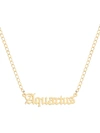 Gabi Rielle Women's Happy Me 14k Goldplated Sterling Silver Zodiac Gothic Script Necklace In Aquarius