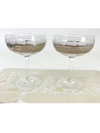Michael Wainwright Truro Platinum 2-piece Stemmed Coupe Set In Gray