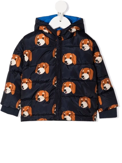 Harmont & Blaine Junior Babies' Padded Puppy Print Jacket In Blue