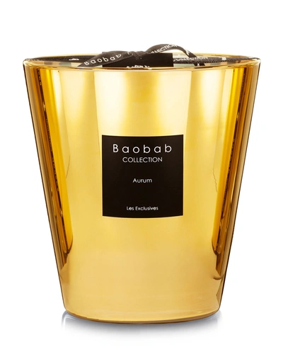 Baobab Collection Aurum Scented Candle, 6.3"