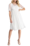 Kiyonna Stars Sheer Overlay Dress In Ivory