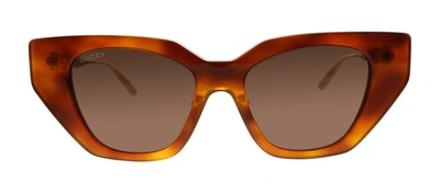 Gucci Gg0641s 003 Cat Eye Sunglasses In Brown