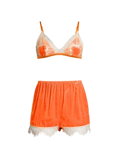 Sleeping With Jacques + Net Sustain Julia Lace-trimmed Silk-blend Satin And Velvet Soft-cup Bra And Shorts Set In Peach Cream Lace