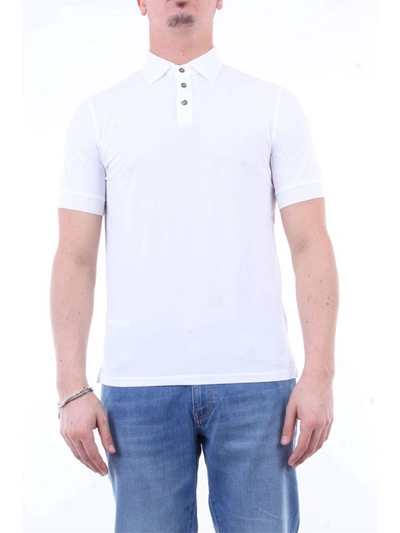 Alpha Studio Polo Shirts In White