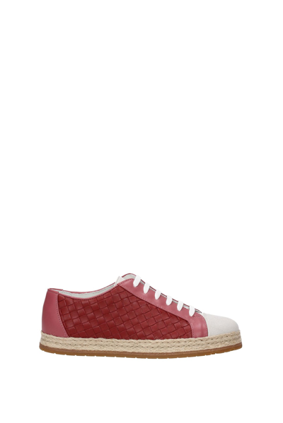 Bottega Veneta Sneakers Leather In Pink / Red