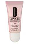 Clinique Moisture Surge Lip Hydro-plump Treatment Lip Balm