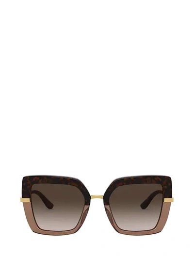Dolce & Gabbana Dg4373 Havana On Transparent Brown Sunglasses In Brown Gradient Dark Brown