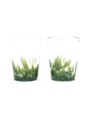 Paul Arnhold Glass Forrest Green Set Of 2 Tumblers In Green