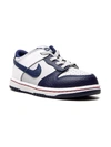 Nike Dunk Low "nets" Sneakers In Grey