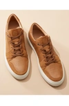 Greats Court Sneaker In Nero