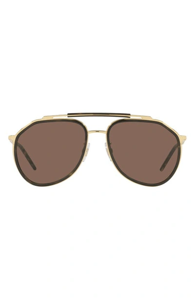 Dolce & Gabbana 57mm Aviator Sunglasses In Gold/ Havana/ Dark Brown