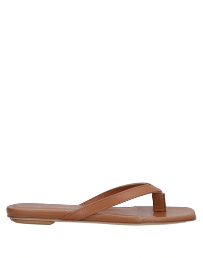 Gia Couture Toe Strap Sandals In Brown