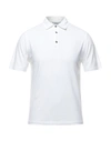 Alpha Studio Polo Shirts In White