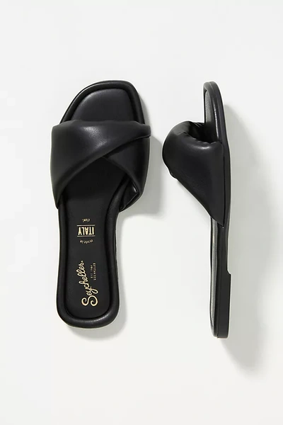 Seychelles Breath Of Fresh Air Puffy Sandals In Black