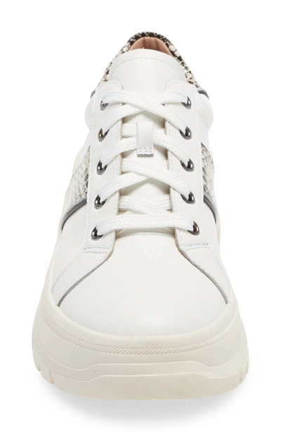 Linea Paolo Roffe Platform Sneaker In White/ Cream/ Black Leather