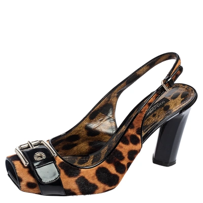 Pre-owned Dolce & Gabbana Brown/black Leopard Calf Hair And Patent Leather Buckle Slingback Pumps Size 37.5