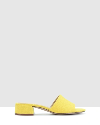 Los Cabos Zayne In Yellow