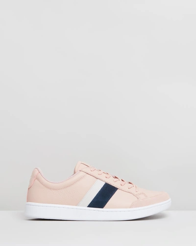 Lacoste Carnaby Ace 120 Sfa Sneakers In Pink