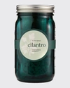 MODERN SPROUT GARDEN JAR - CILANTRO