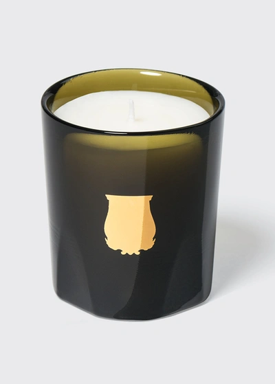 Trudon 2.5 Oz. Ernesto Petite Candle In No_color