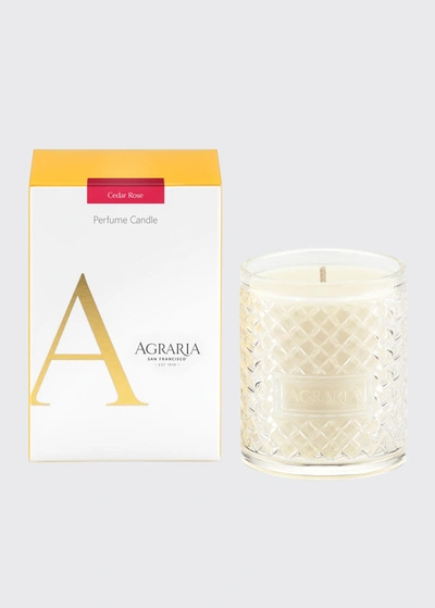 AGRARIA 7 OZ. CEDAR ROSE PERFUME CANDLE