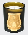 Trudon 9.5 Oz. Solis Rex Classic Candle In Na