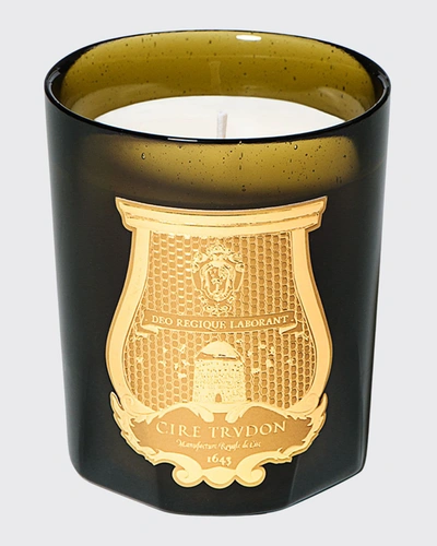 Trudon 9.5 Oz. Solis Rex Classic Candle In Na